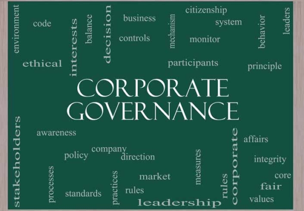 A Review of Corporate Governance Codes in 2014